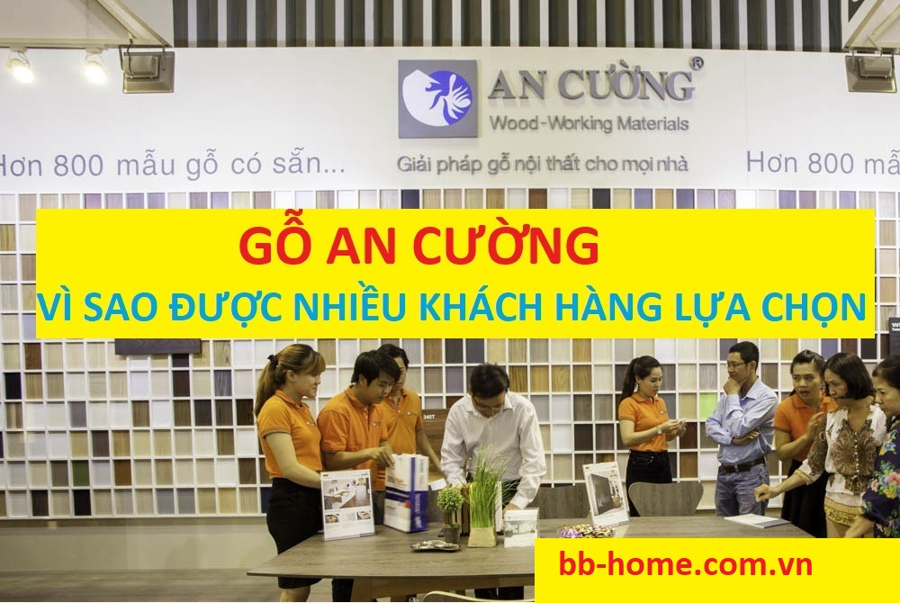 Vì sao gỗ An Cường được nhiều khách hàng lựa chọn