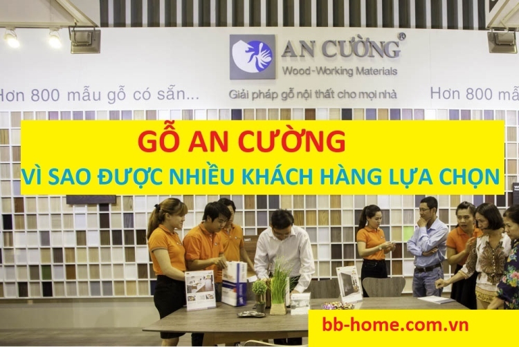 Vì sao gỗ An Cường được nhiều khách hàng lựa chọn